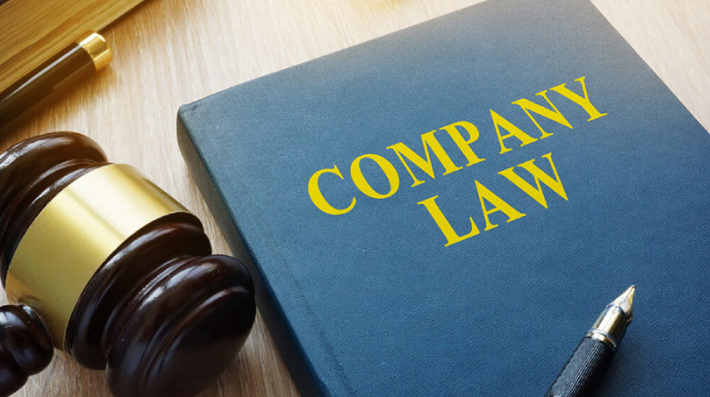 New Draft Amendments to China’s Company Law and Their Potential Effects on Enterprises